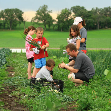 Current Seed Money Project Stories